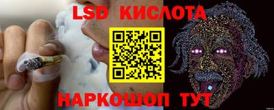 СК Славянск-на-Кубани
