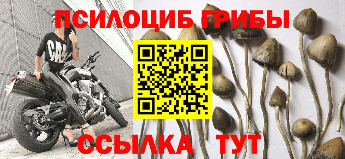 Галлюциногенные грибы мухоморы Алейск