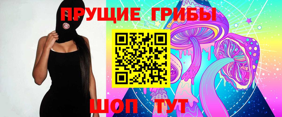 Алейск  Галлюциногенные грибы MAGIC MUSHROOMS  Вход с VPN 